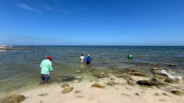 Ambas zonas tendrán una vigencia de cinco años
