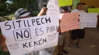 Comunidades indígenas de Yucatán exigen a la SCJN que frene el desastre socioambiental de las granjas porcícolas