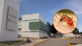 Las localidades Lázaro Cárdenas y Puerto Morelos se mantienen en el semáforo “amarillo”, por precaución