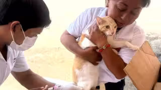 La jornada de salud animal se realizó en el marco de las actividades conmemorativas por el Día Mundial contra la Rabia.