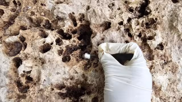 La arqueóloga Ana Calderón fue quien descubrió la "Roca de la fundación"