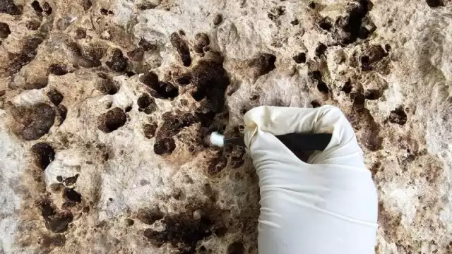 La arqueóloga Ana Calderón fue quien descubrió la "Roca de la fundación"