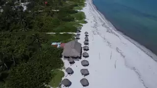 Recogen al menos 164 kilos de basura en las playas de El Cuyo