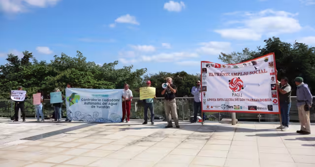 Grupos porcícolas procederán  a una audiencia el 6 de febrero.