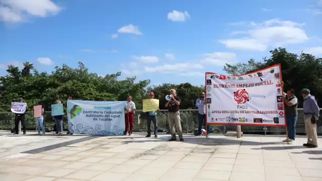 Grupos porcícolas procederán  a una audiencia el 6 de febrero.