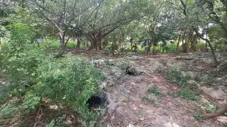 Cenote de avenida Puerto Juárez en Cancún reporta contaminación severa