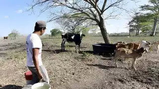 La CNC del Estado reconoce que habrá una temporada muy fuerte en el ramo ganadero y agrícola