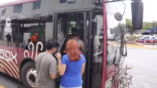 Tarjeta Ko’ox de estudiante en Campeche: ¿Cuándo renovar y qué documentos necesitas?