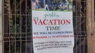 Establecimientos de Isla Mujeres cierran temporalmente por temporada baja