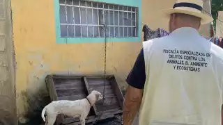 La multa va de los $12,000 a $22,000 pesos