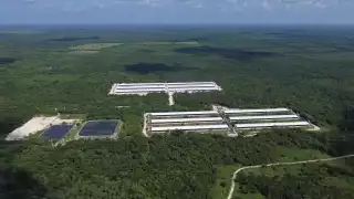   Activista acusa al Rector de la UADY de ‘atropellar’ la Ley del Conahcyt al firmar pacto con Kekén   