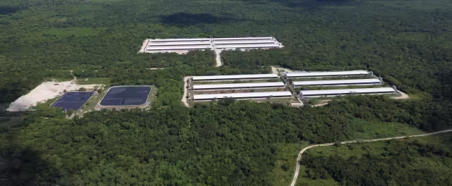 Activista lamenta convenios como el de la UADY con Kekén, empresa que contamina agua y suelo