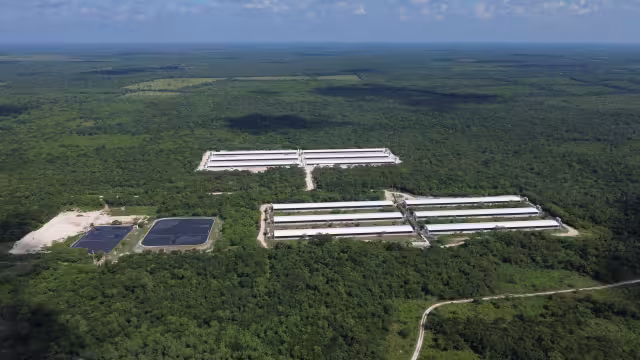 Activista lamenta convenios como el de la UADY con Kekén, empresa que contamina agua y suelo