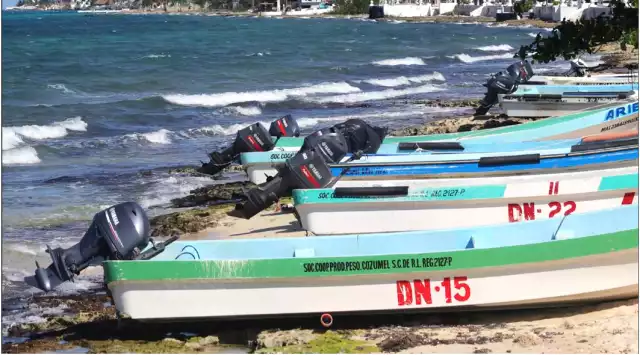 Dirigente de un gremio aseguró que el primer trimestre del 2026 será de inactividad, debido a que empieza la veda de varias especies