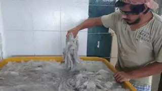 Aunque aún no hay cifras oficiales, autoridades consideran que se estaría cerca de la meta