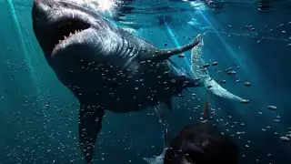 Los registros revelan la presencia de imponentes especies que ya no existen, como el megalodón