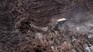 Capacitarán a productores menonitas para prevenir deforestación en Q. Roo