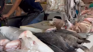 ¿Cuánto cuesta comer pescados y mariscos en Cuaresma 2026? Precios actualizados en mercados de Mérida