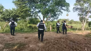 Campeche: 50 menores han desaparecido en lo que va del 2024