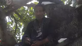 Demetrio sobrevive en los árboles de Cancún tras ser abandonado por su familia
