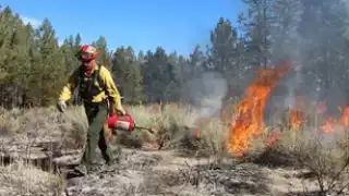 Incendios forestales de Campeche, a la orden del día; detectan dos más 