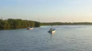 Vuelven buzos furtivos en Isla Arena