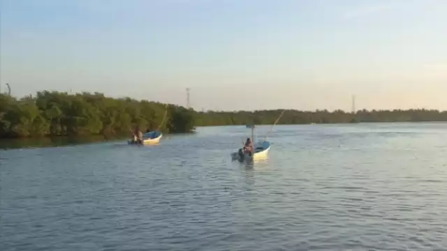 Los isleños advirtieron que no permitirán que se lleven las pocas especies que quedan