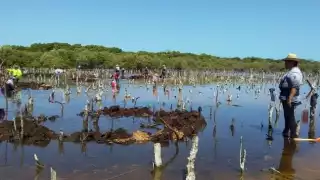 Locales exigen a las autoridades la cancelación inmediata de las actividades destructivas
