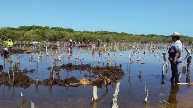 Locales exigen a las autoridades la cancelación inmediata de las actividades destructivas