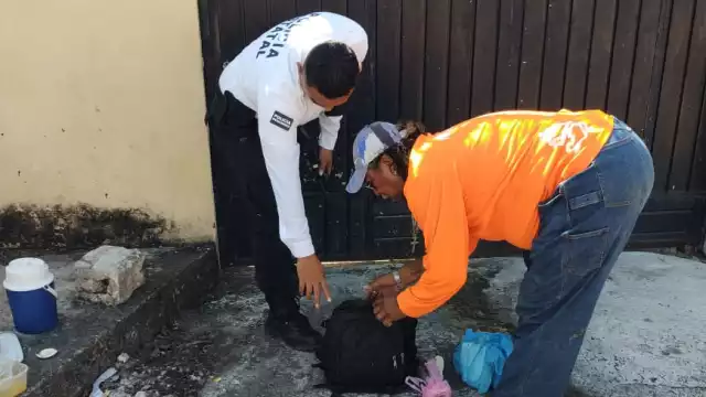 Policías detuvieron a trabajadores del Ayuntamiento