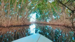 Campeche ofrece destinos ideales para relajarse y reconectar con la naturaleza.