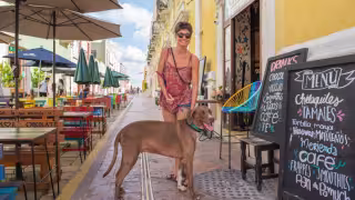 No hay espacios habilitados para todo tipo de mascotas.