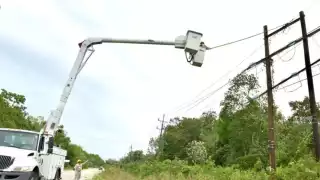 La CFE culpó a los árboles que están cerca de los cables de alta tensión en Álvaro Obregón