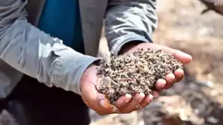 Colectivo maya exige justicia ambiental en regiones contaminadas