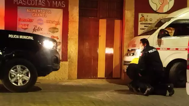 Varias patrullas persiguen hasta someter a un conductor que circulaba en sentido contrario