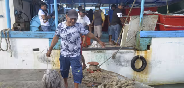 Yucatán es líder en la producción de pulpo, aportando el 94% del total nacional