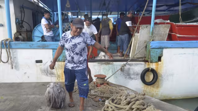 Yucatán es líder en la producción de pulpo, aportando el 94% del total nacional