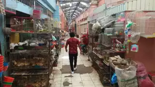 Habrá nuevas reformas al reglamento que se aplicará en el pasillo de aves en el Lucas de Gálvez