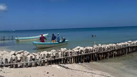 Aunque las algas nocivas ya no son visibles, persiste un remanente en el agua que sigue afectando el ecosistema.