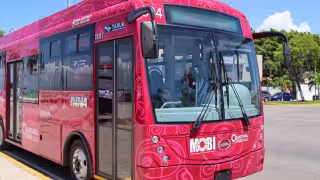 Estos autobuses son los primeros de su tipo en todo el país.