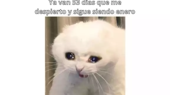 Memes enero eterno resaltan el percibido paso del tiempo a inicios del año.