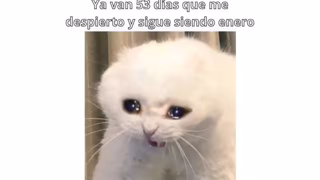 Memes enero eterno resaltan el percibido paso del tiempo a inicios del año.