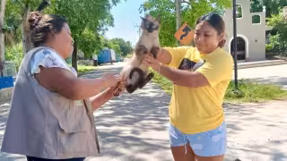 Familias acuden con sus mascotas a jornada de vacunación