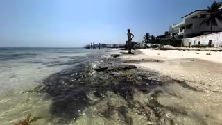 Expertos resaltaron que las acciones de restauración en tramos específicos pueden modificar las corrientes y el oleaje, lo que favorecería a la erosión