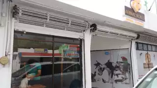 Veterinaria en Chetumal es atracada; registran robo superior a los 40 mil pesos