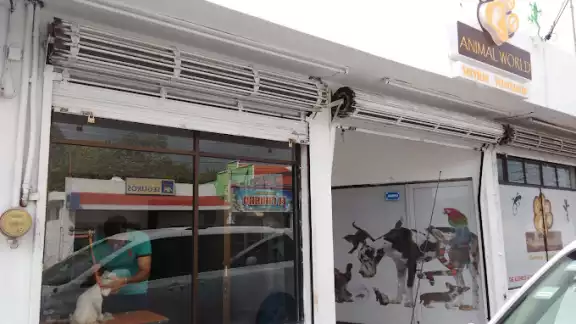 Además del efectivo, se registraron objetos de valor faltantes