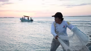 Bienpesca rezaga a mujeres de Yucatán: apenas 274 recibieron el apoyo federal, la cifra más baja del país
