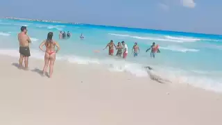 El turista logró tranquilizar a la mujer hasta que llegaron los salvavidas.