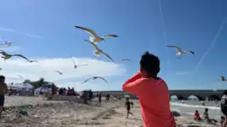   ¿Viajas con niños este verano? Estos son los 3 mejores destinos de Yucatán, según la IA  