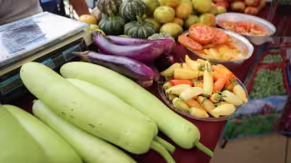 Más de 400 productores participan en el Mercado Renacer del Campo Yucateco